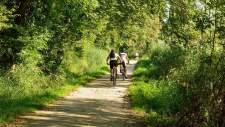 Activities and Things to do in Fontainebleau · Hôtel de Londres Fontainebleau