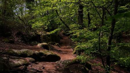 Activities and Things to do in Fontainebleau · Hôtel de Londres Fontainebleau