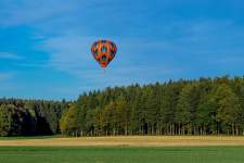 Activities and Things to do in Fontainebleau · Hôtel de Londres Fontainebleau