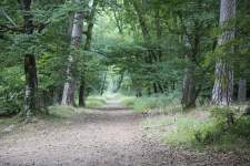 Activités et Tourisme à Fontainebleau · Hôtel de Londres Fontainebleau